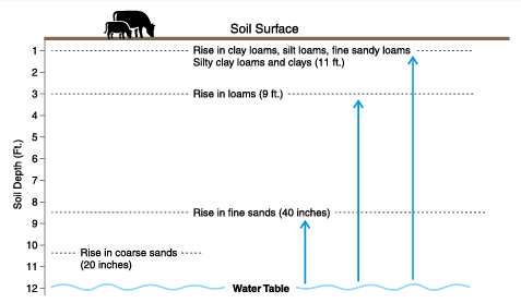 Figure 6.1. Capillary rise with soil texture from groundwater depth of 12 feet. (NDSU image)